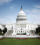 Tour Washington y Monte Vernon