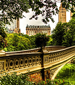 Tour Central Park con Day Tours