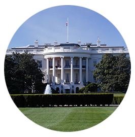 Tours Washington y Monte Vernon